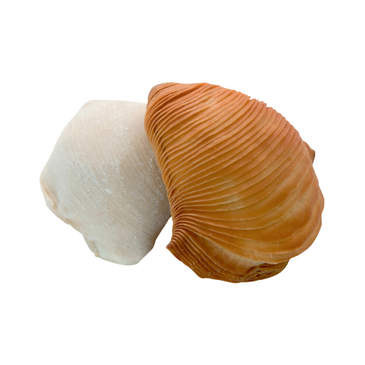 Sfogliatelle