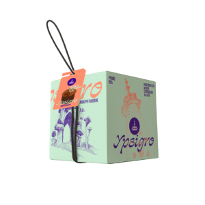 Ypsigro Mulberry and Chocolate Panettone